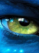 绝对风暴新手指南：快速上手与基础策略解析